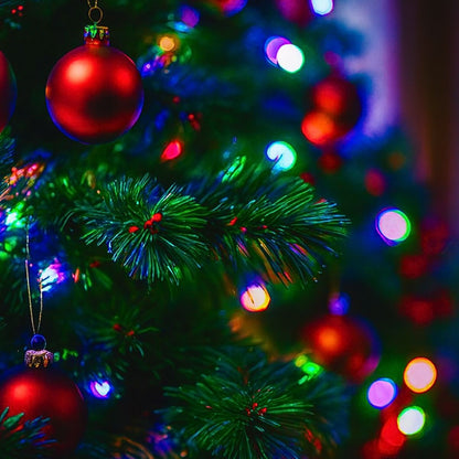 Cordão Pisca de Natal 100 Leds 10 metros Fio Transparente 8 Funções Decoração Para Árvores, Casa e Festas  LuvinCo