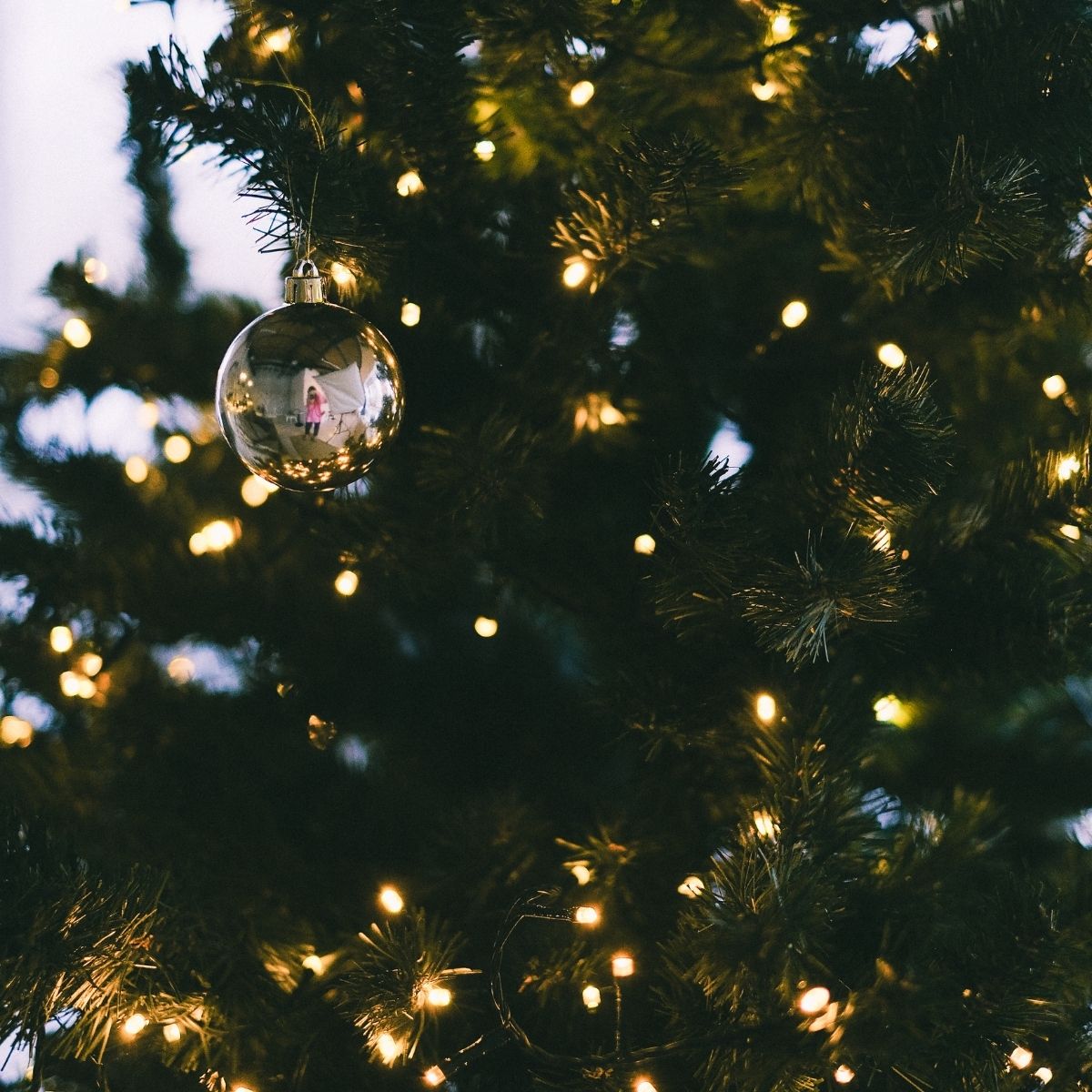 Cordão Pisca de Natal 500 Leds 50 metros Fio Transparente 8 Funções Decoração Para Árvores, Casa e Festas LuvinCo